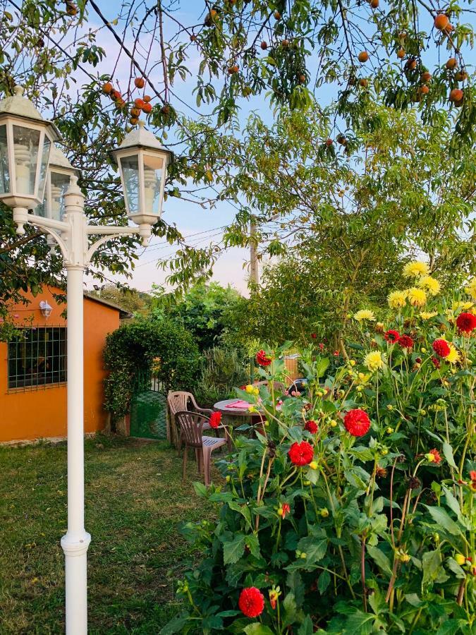 Vivienda Vacacional El Majo Siero Exteriér fotografie